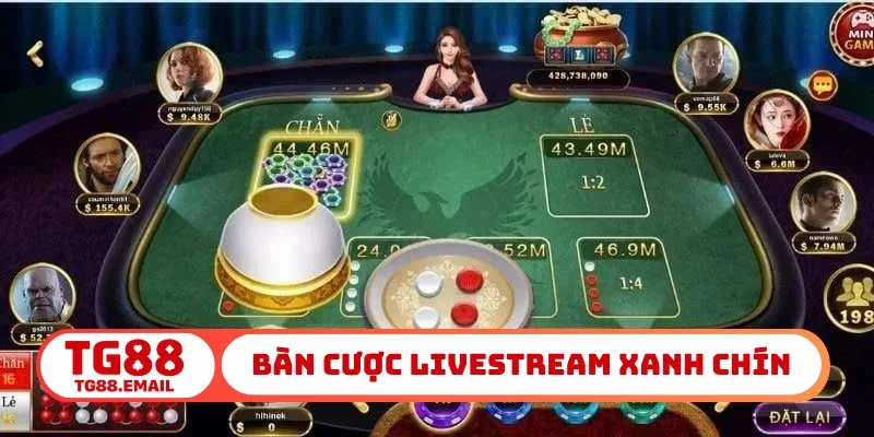 Bàn cược livestream xanh chín
