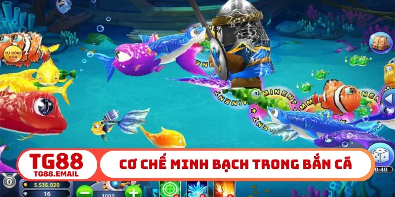 Cơ chế minh bạch trong bắn cá